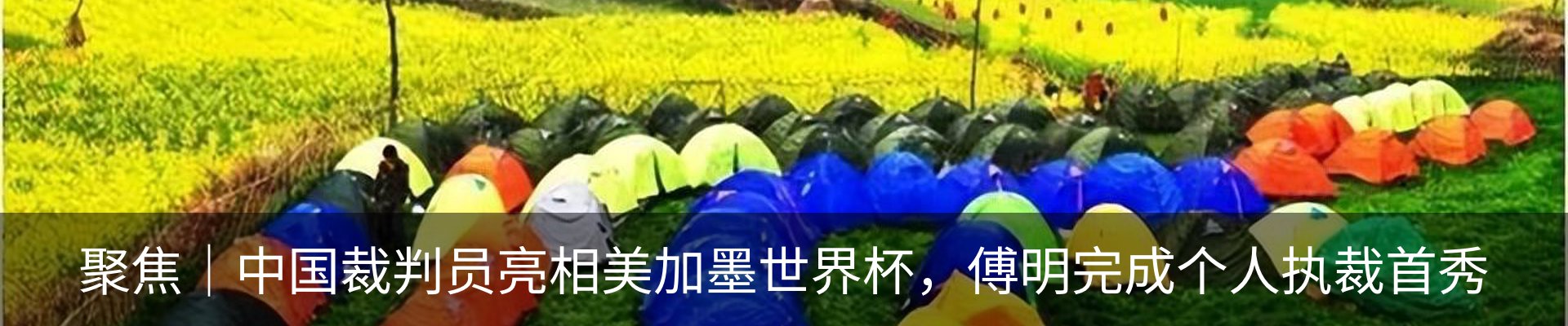 资讯动态